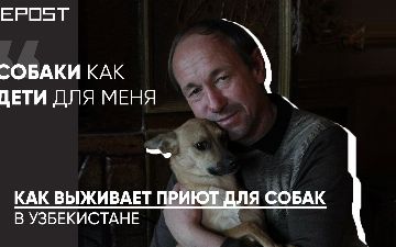 Основатель приюта «Гавчег» рассказал о своей жизни, мотивации и питомцах 