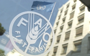 ФАО: К 2030 году от ожирения будут страдать свыше 1 млрд людей