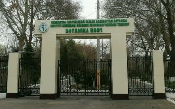 В ботаническом саду запретили кататься на велосипедах, самокатах и скутерах 