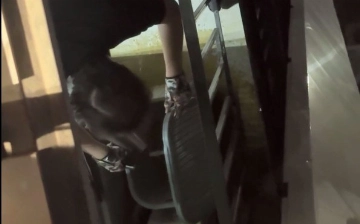 В Ташкенте арестовали иностранца, обливавшего кошку кипятком