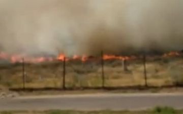 На самаркандском кладбище произошел пожар