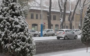 Названы области, где ожидается снегопад в ближайший праздник