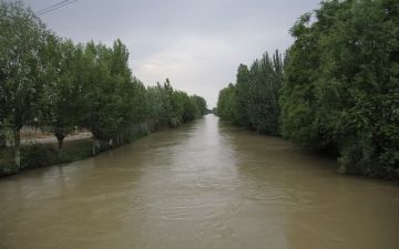 Обнародованы новые подробности найденного трупа девушки в канале Самаркандской области