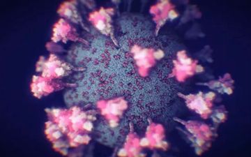 Один из штаммов коронавируса научился обходить антитела