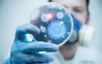 В России выявили активный штамм бактерий против COVID-19