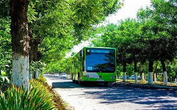 В Узбекистане вдоль обочин, на полях и во всех населенных пунктах посадят свыше 150 млн саженцев 