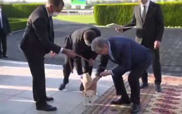 Гурбангулы Бердымухамедов подарил Касыму-Жомарту Токаеву жеребца и щенка