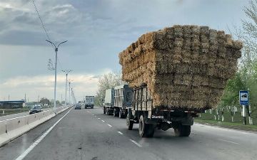 Грузовикам в Узбекистане запретили занимать левую полосу