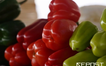 В Узбекистане предоставят льготы бизнесменам, торгующим овощами и фруктами