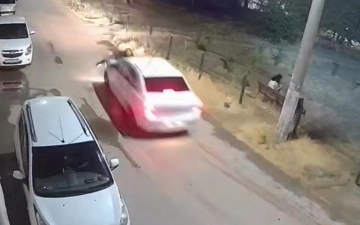 В Ташкенте водитель Cobalt на высокой скорости сбил кошку и протащил ее хозяйку на капоте