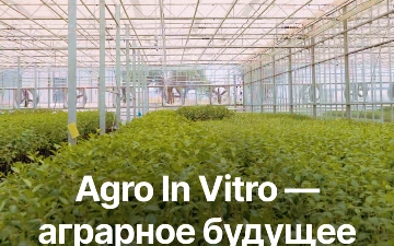 Свежайшие фрукты уникальных сортов — результат работы проекта Agro In Vitro, созданного при поддержке Agrobank