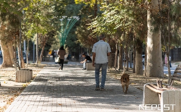 Потепление до 20 градусов: какая погода ждет узбекистанцев на выходных