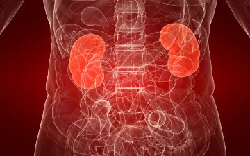 8 ранних признаков рака почек — подробности