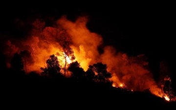 Минувший 2022 год стал самым жарким в истории Испании