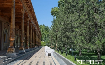 Жара и усиление ветра: какая погода ждет узбекистанцев на выходных