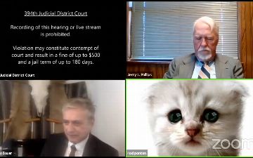 Техасский прокурор провел судебное заседание по Zoom с фильтром кота