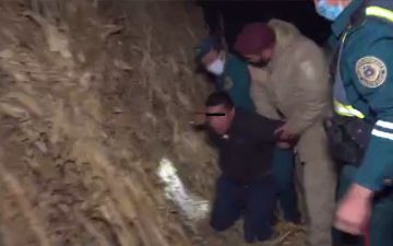 В Ташобласти пьяный водитель пытался скрыться от ДПС и спрятался в «роще» кукурузы 