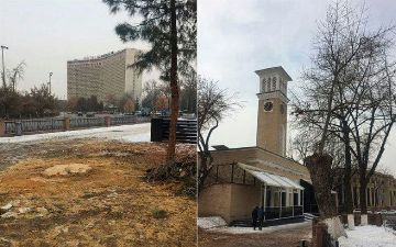 В центре Ташкента вырубили деревья