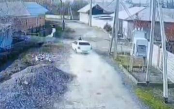 В Фергане водитель сбил пограничника, проигнорировав жест остановки — видео 