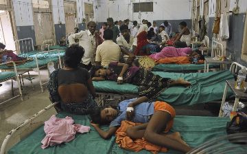 Впервые у переболевшего COVID-19 выявили «зеленую плесень»