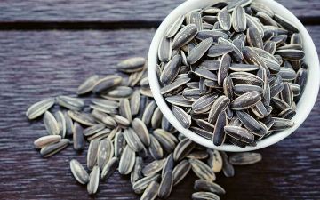 Подсолнечные семечки могут быть опасны для организма человека – причина