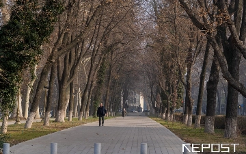 Воздух в Ташкенте на 20 февраля: уровень загрязнения превысил норму в два раза