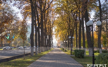 Потепление до +25 градусов: какая погода ждет узбекистанцев на этой неделе