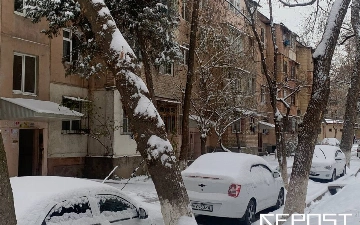 Эксперт рассказал, стоит ли ждать аномальные морозы в Узбекистане