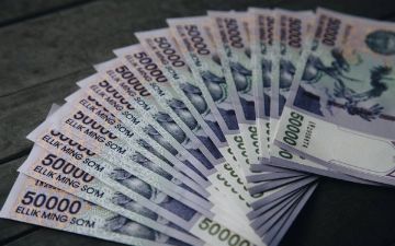 Узбекские депутаты предложили повысить налог на землю и воду на 10%