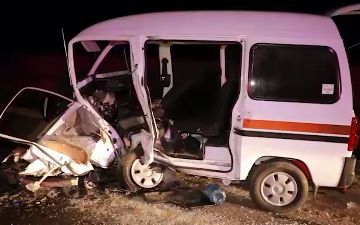 В Навоийской области из-за ДТП погиб верблюд - видео