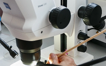 Ученые из Тайваня нашли ключ к увеличению продолжительности жизни