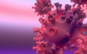 «Коронавирус не был создан в лаборатории», — эксперт из Женевы