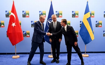 Эрдоган согласился поддержать заявку Швеции на вступление в НАТО