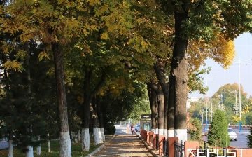 Учет командировок чиновников и отмена акциза на сахар. Что изменится в Узбекистане с 1 октября