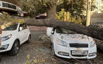 Узбекистанцев предупредили о сильном ветре и возможном схождении селя
