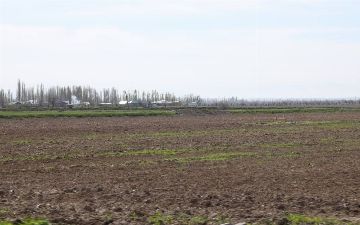 В Андижане опровергли сообщение о выделении земли 44 гражданам, внесенных в «тетрадь молодежи»