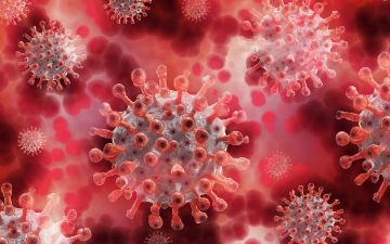 Объяснена главная загадка коронавируса