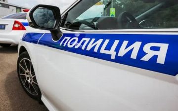 В Петербурге задержали гражданку Узбекистана, которая находилась в розыске за мошенничество