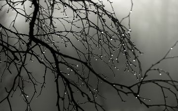 Туманно и дождливо: синоптики рассказали о погоде в Узбекистане в начале следующей недели