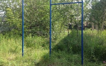 Узбекский терапевт рассказала, полезно ли висеть на турнике при сколиозе