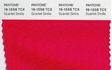 От идеального серого до экстравагантного красного: какие цвета будут самыми модными в этом году