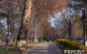 Синоптики рассказали, какая погода ждет узбекистанцев в среду