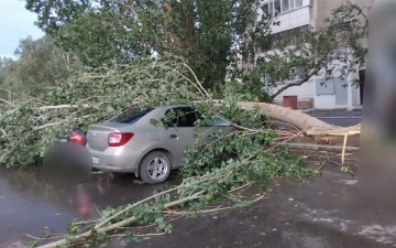 На Казахстан обрушился ураган: пострадали свыше 10 человек