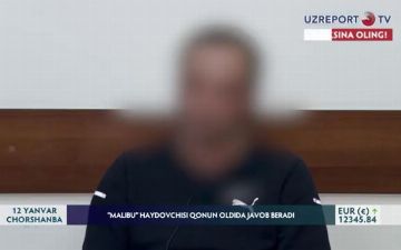 «Пил водку, пиво, а потом вообще отрубился», — водитель обстрелянного Malibu