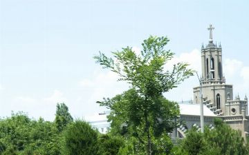 Стало известно о погоде в Узбекистане на выходных: температура понизится до 12 градусов тепла