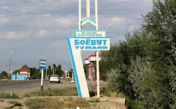 В Сырдарье по приказу районного хокима срубили более 800 деревьев