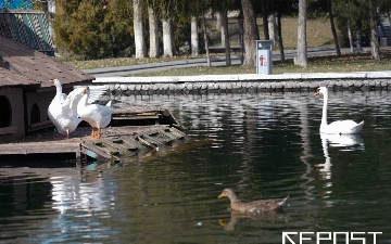 Воздух в Ташкенте на 21 октября: уровень загрязнения превысил норму в шесть раз