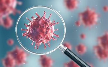 Ученые выдвинули версии о причинах появления штамма «омикрон». Узнайте, при чем тут ЮАР и Ботсвана