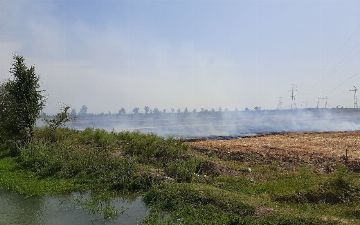 В Ташобласти сгорели 129 гектаров сенного поля. Нанесенный ущерб природе оценили в 113 миллионов сумов