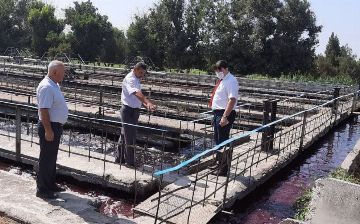 Вода в реке Чирчик окрасилась в красный цвет